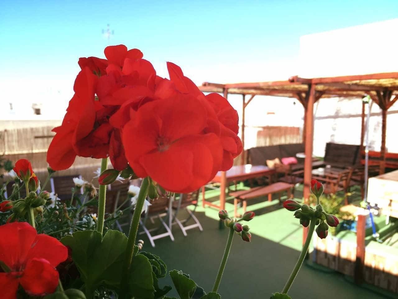 Summer Cadiz Ngoại thất bức ảnh
